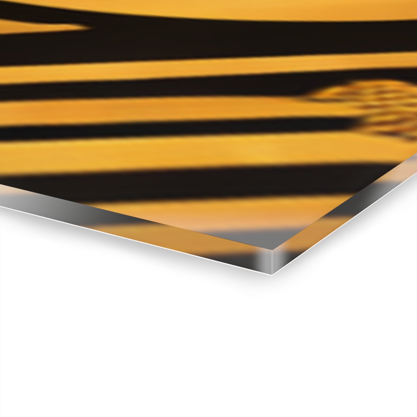 Crowgodshi Designer Acrylic Wall Art